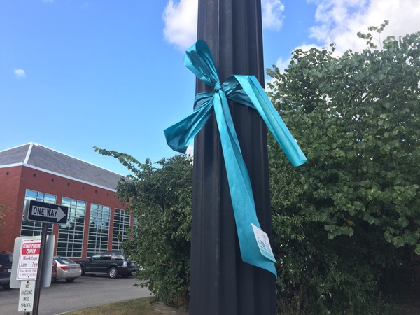 Teal Ribbons Raise Awareness in Livingston County for Ovarian Cancer