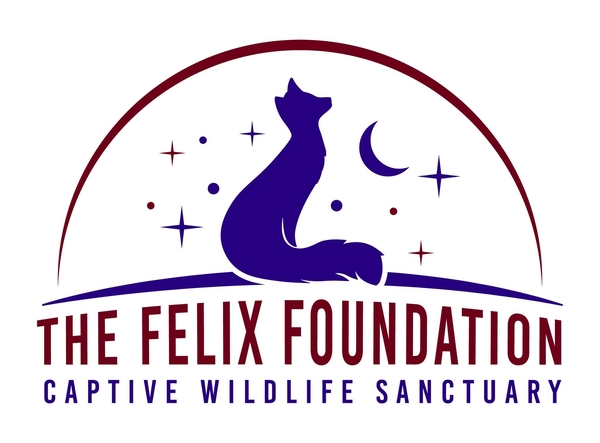 Felix Foundation Appeals For Community Support Amidst Adversity