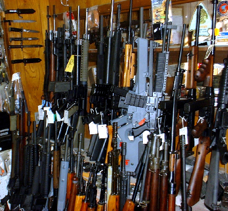 Livingston Has Highest Per-Capita In Region For Gun Ownership