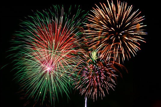 Fireworks Tonight At Hudson Mills Metropark
