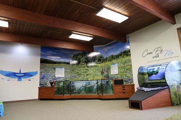 Blue Heron Centerpieces New Kensington Nature Center Display