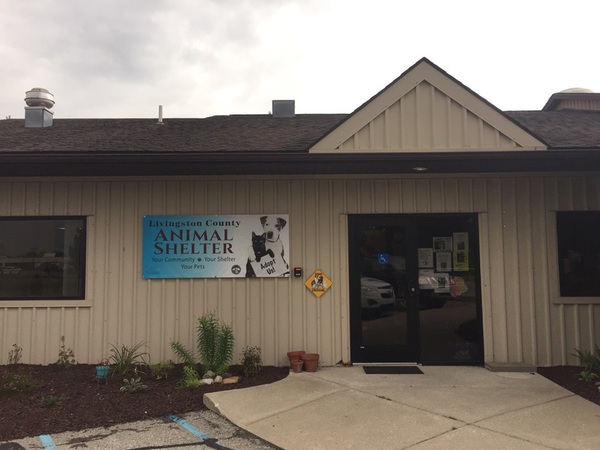 Livingston County Animal Shelter To Hold "Empty The Shelter" Event Saturday
