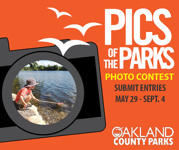 Pics Of The Parks Photo Contest Underway