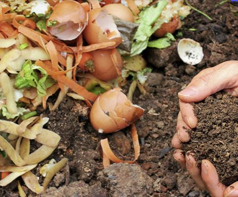 Rain Barrels and Compost Bins on Sale Through Solid Waste Program