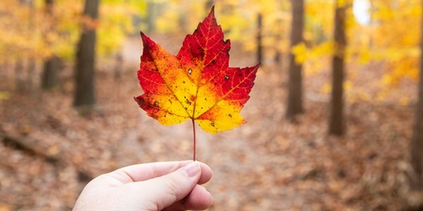 MDNR: Get Outside & Explore During Michigan Trails Week