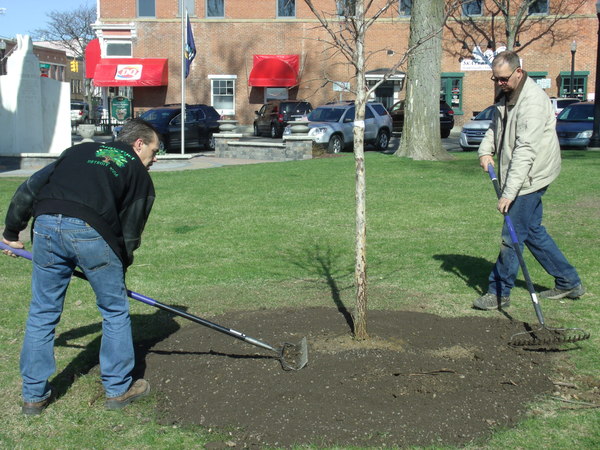 City of Howell Hosting 32nd Annual Arbor Day Celebration Friday