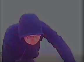 Howell Police Seek Porch Package Thief