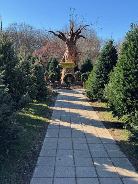 "Green Friday" At Howell Nature Center