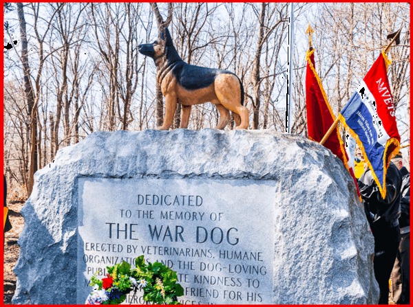War Dog Buried in Michigan War Dog Memorial Near South Lyon