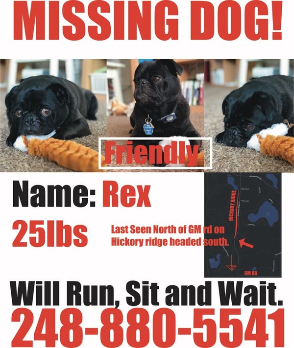 Runaway Pug Remains At Large Inside GM Proving Grounds
