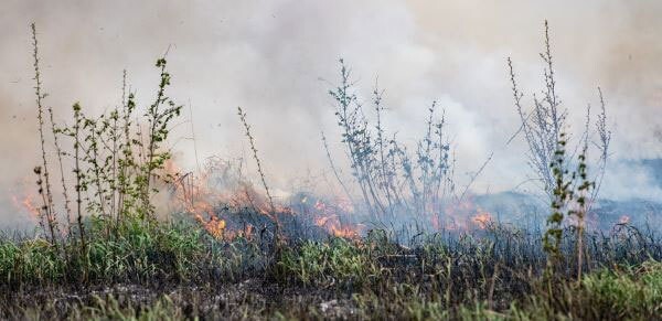 DNR: Prescribed Burns in Washtenaw, Oakland Counties