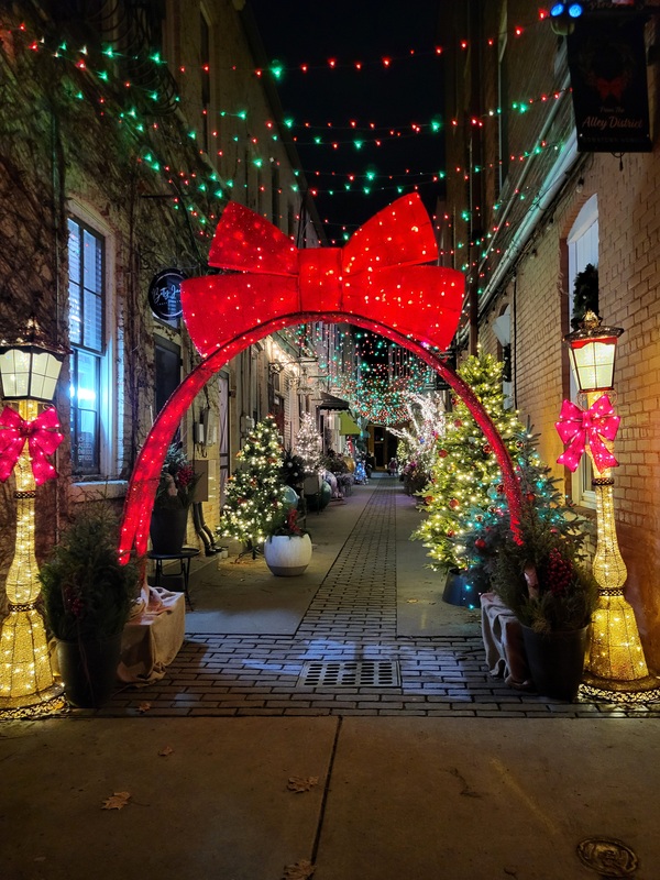 Holiday Ladies Night Out In Downtown Howell