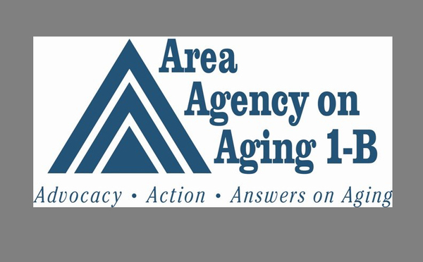 Area Agency On Aging Seeks Approval Of 2019 Implementation Plan