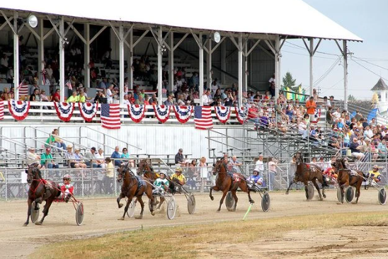 Fowlerville Family Fair Awarded State Grant For Grandstand Upgrades