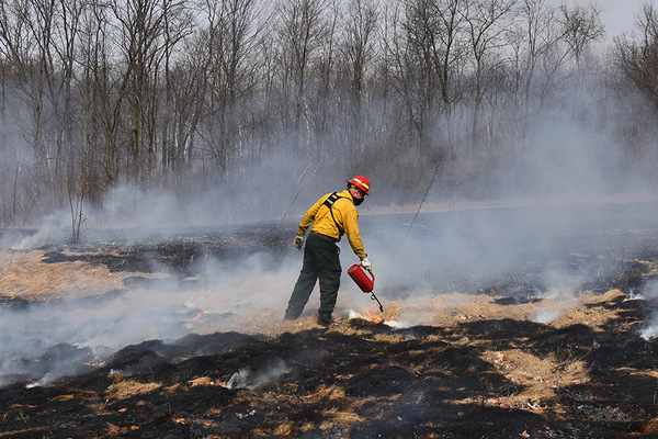 Prescribed Burns Taking Place At Area Metroparks This Spring