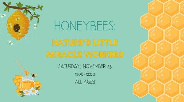 “Honey Bees: Nature’s Little Miracle Workers” Program At BDL