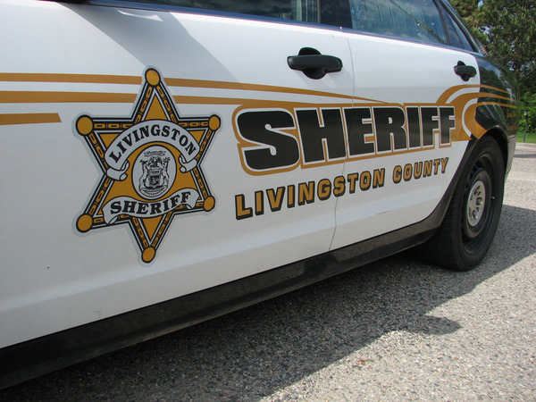 Lansing Man Killed In Howell Township Crash