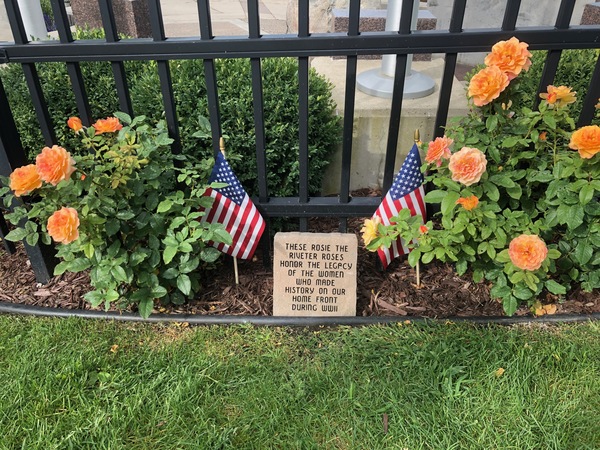 Rosie The Riveter Rosebushes Dedicated At Brighton Veterans Memorial