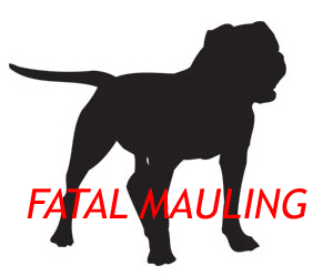 Man Mauled To Death By Dog In Farmington Hills