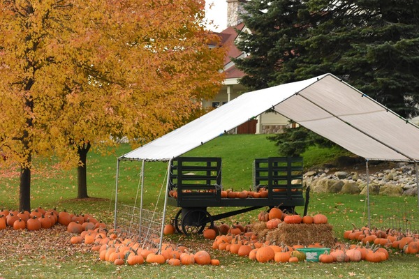 Fall Fun & Halloween Events At Local Metroparks