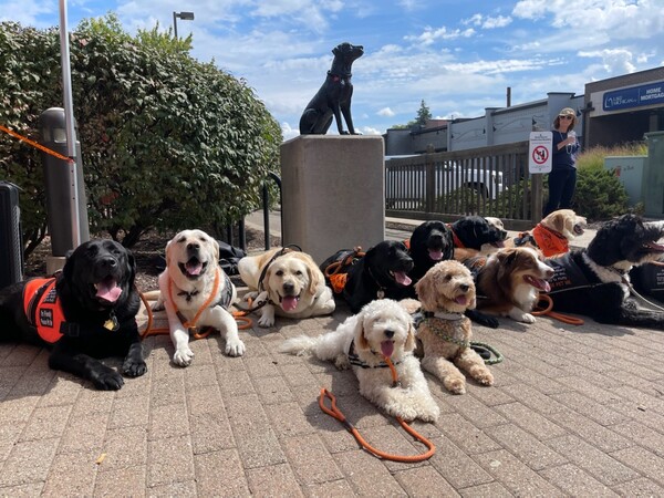 Sculpture of First Brighton Area Schools Therapy Dog Dedicated