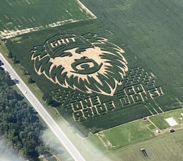 Williamston's BestMaze Wrongly Credited for Lions Display