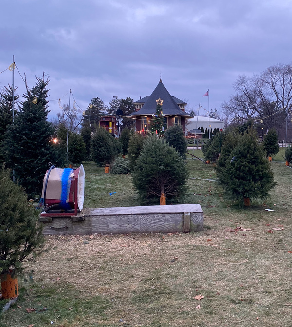 Many Christmas Tree Farms Wrapping Up Season Early