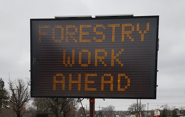 Forestry Work In Dexter Township