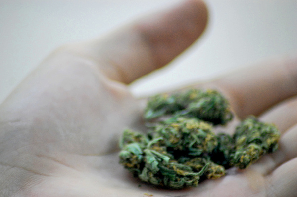 Brighton Township Board Votes To Prohibit Marijuana Establishments