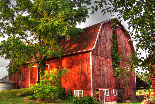 Preserving Michigan Barns; Upholding Community Solidarity