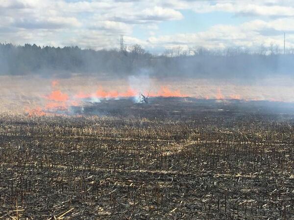 Hot, Dry Weather Elevates Wildfire Risk