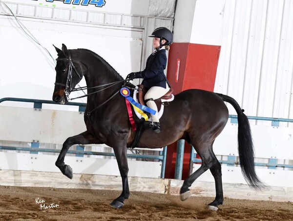 Young Equestrian From Pinckney Headed To National Horse Show