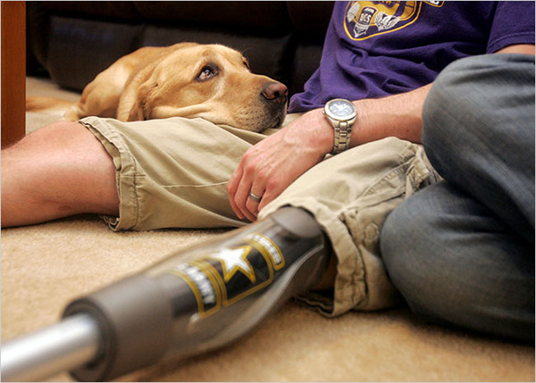 Therapy Dogs To Visit Cleary University During Final Exam Week