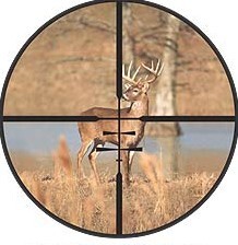 Firearm Deer Season Begins Friday