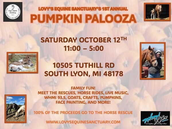 Pumpkin Palooza This Saturday at Lovy’s Equine Sanctuary