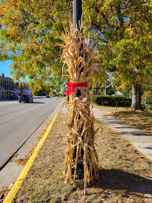 Red Ribbon Week Supports Drug-Free Awareness