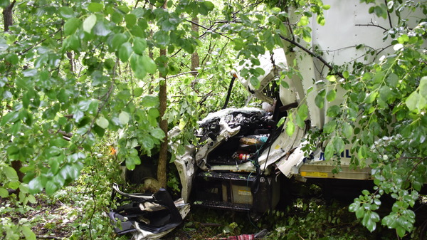 Oakland Co Sheriff's Office: Two Men Critical After Vehicles Struck by Falling Tree