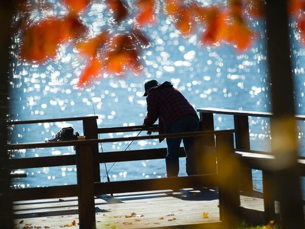 "State Park Madness" Competition Underway