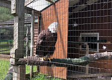 Howell Nature Center Nears $100,000 goal; Will Reopen This Weekend