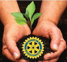 Rotary Members Planting Trees Across The County