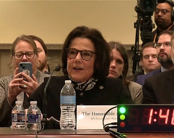 State Rep. Bollin Testifies in Support of Federal Election Reforms