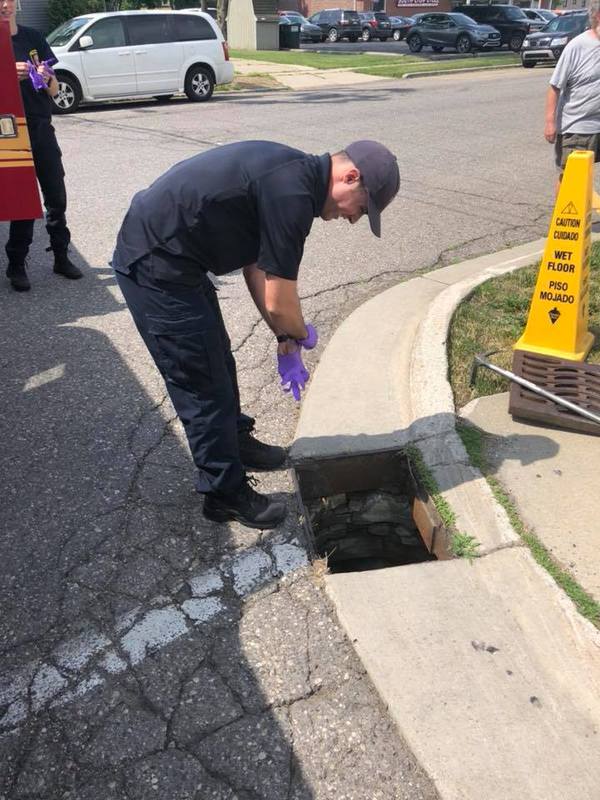 South Lyon Firefighters Rescue Ducklings From Storm Drain