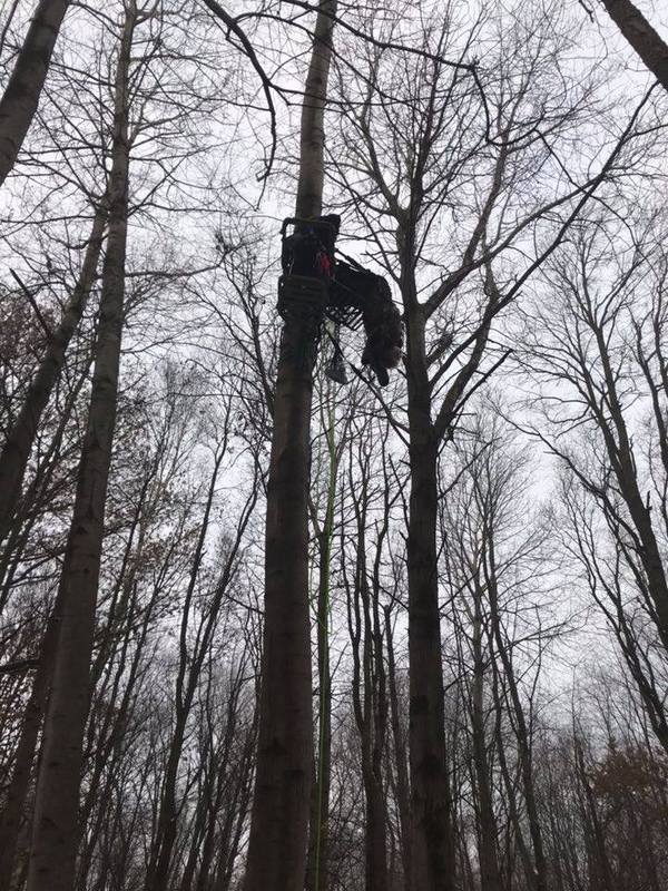 Hunter Trapped Upside Down, Rescued From Tree Stand